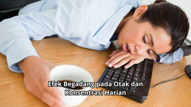 Efek Begadang pada Otak